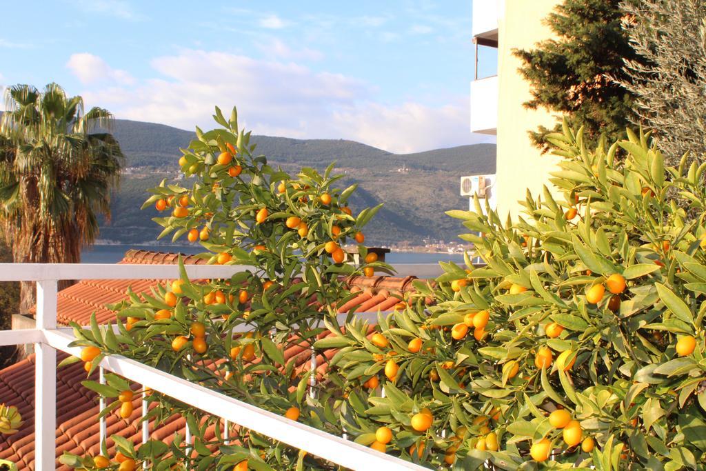 Guest House Tomanovic Herceg Novi Exterior photo